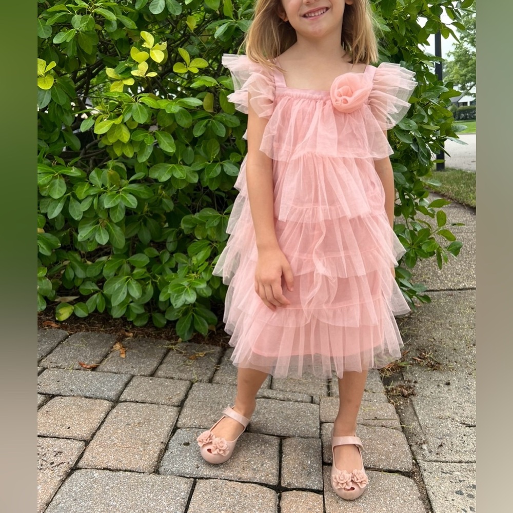 GAP by Love Shack Fancy Blush Pink Tulle Dress